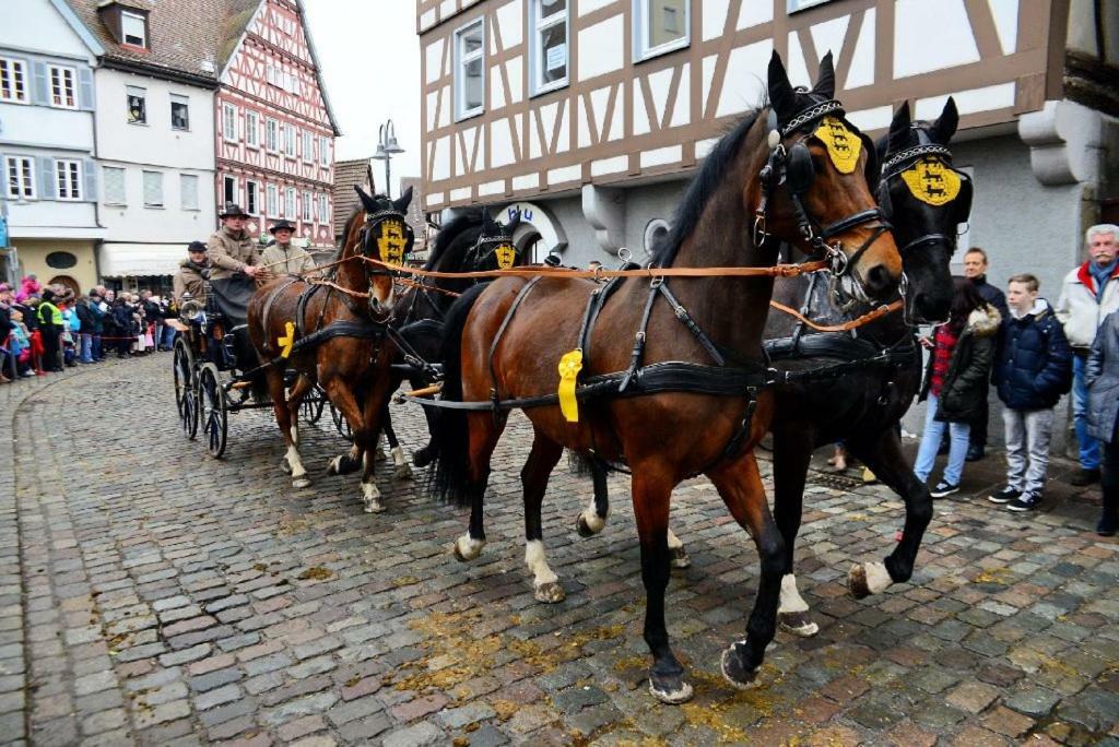 Schlosshotel Hoefingen ليونبيرغ المظهر الخارجي الصورة